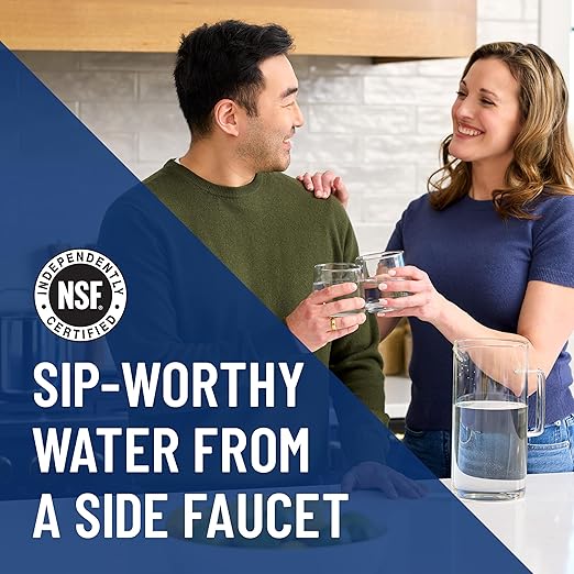 Everpure H-300-NXT Replacement Water Filter Cartridge